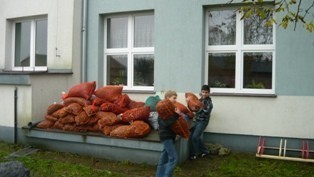 kasztany