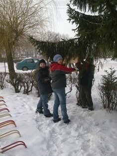 dokarmianie