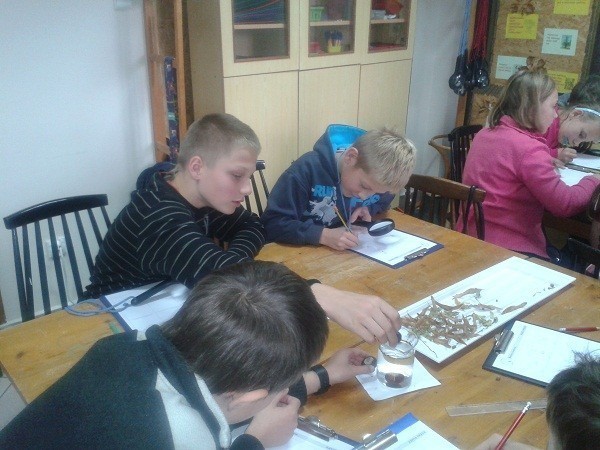 rogow20123