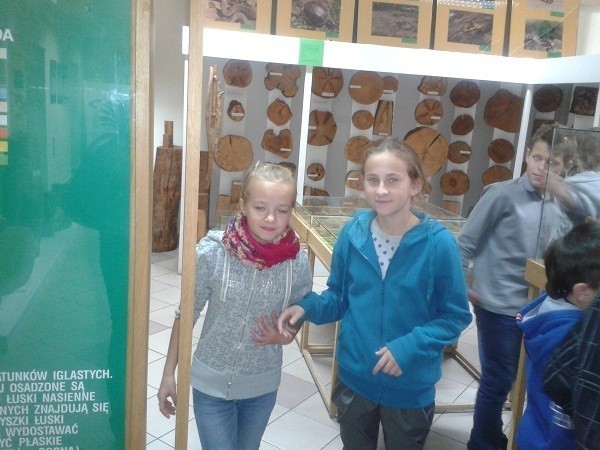 rogow20124