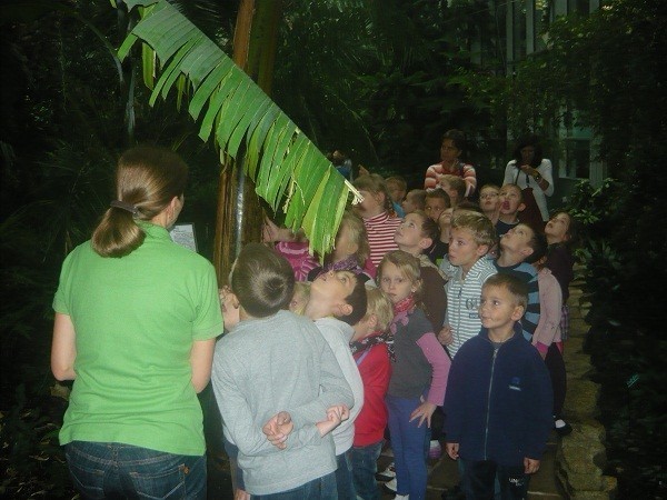 lodz91