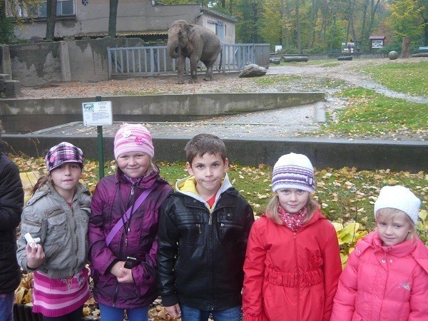 lodz8