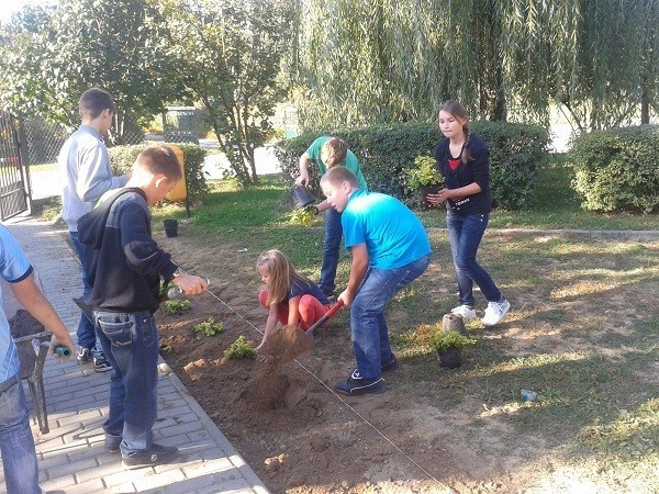 projekt